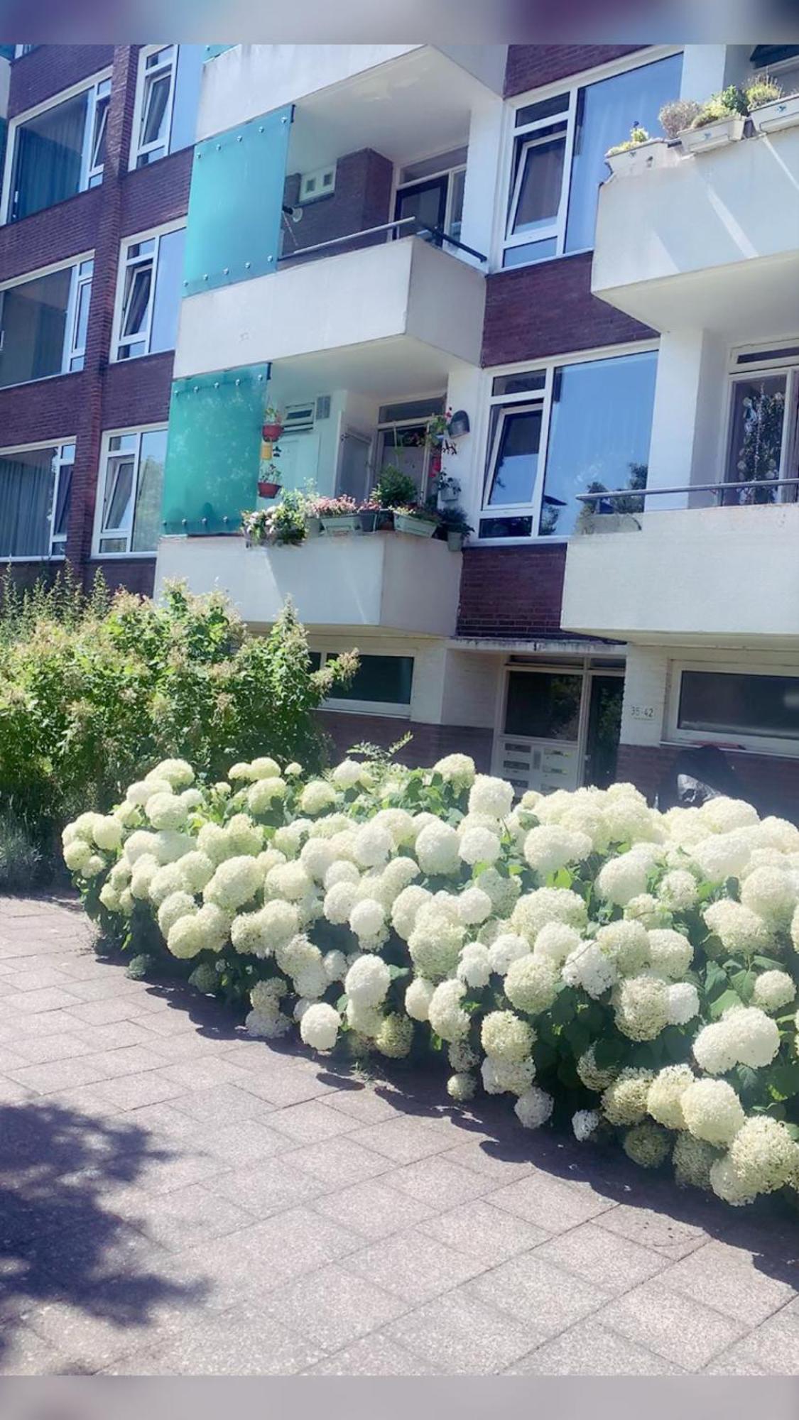 Keycity Apt Near Amsterdam & The Hague Lejda Zewnętrze zdjęcie